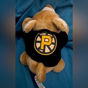 Samboni, the bear, Providence Bruins mascot.